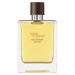 Hermes, Terre d`Hermes Intense Vetiver, Eau De Parfum, For Men, 200 ml - Teknashop Ltd
