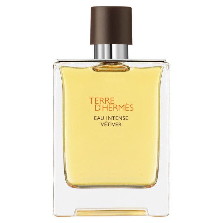Hermes, Terre d`Hermes Intense Vetiver, Eau De Parfum, For Men, 200 ml - Teknashop Ltd