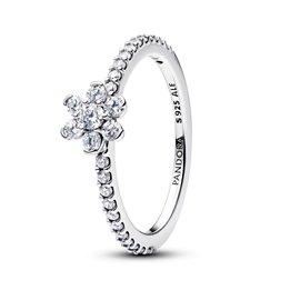 PANDORA JEWELRY Mod. 194499C01-54 - WW.194499C01-54 - Teknashop Ltd