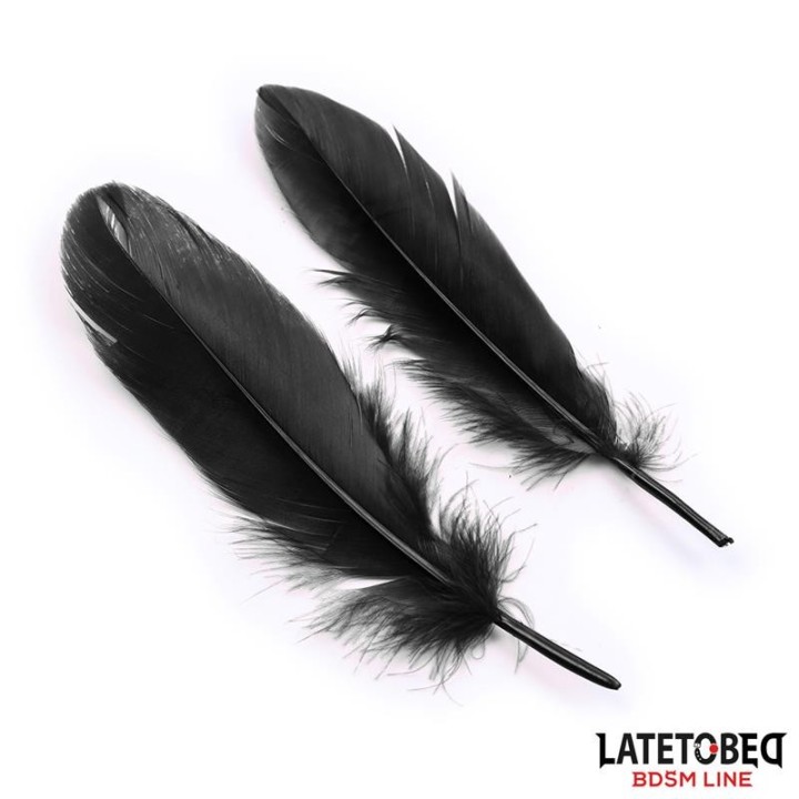 3 Pieces Set Mask, Handcuffs and Feathers Black - 8436615001743 - Teknashop Ltd
