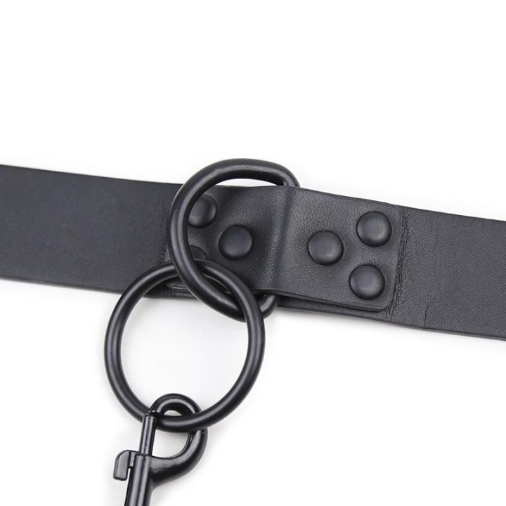 Collar with Leash Black - 843658379481 - Teknashop Ltd