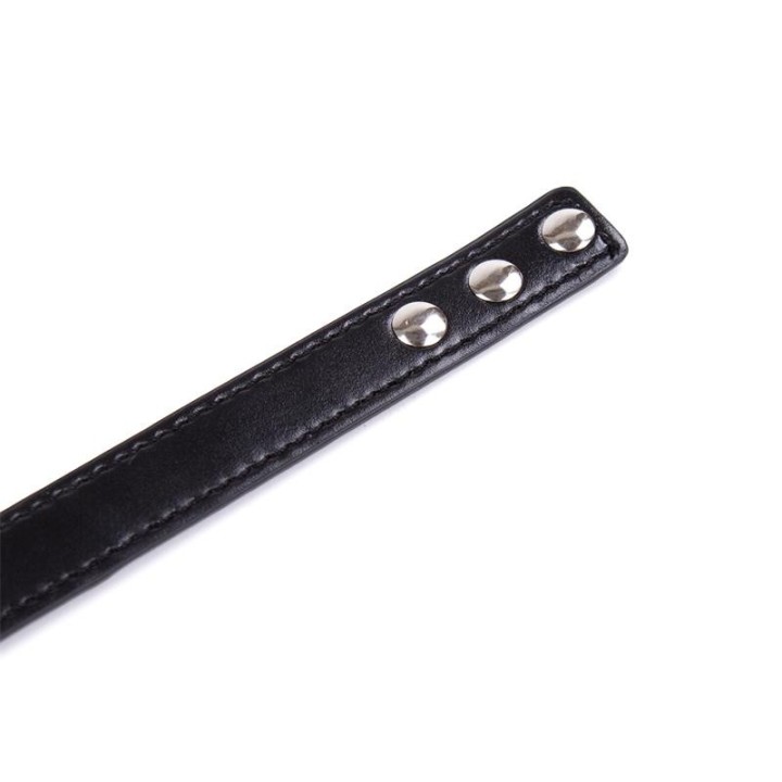 Collar with Hoop Adjustable 38,2 cm Black - 843658379378 - Teknashop Ltd