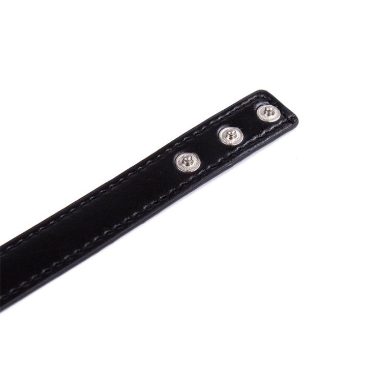 Collar with Hoop Adjustable 38,2 cm Black - 843658379378 - Teknashop Ltd