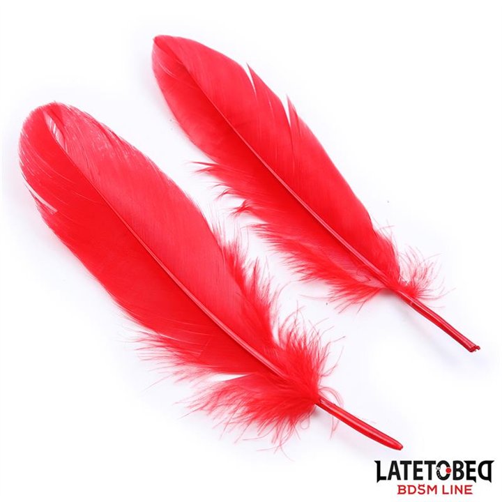 3 Pieces Bondage Set Cuffs, Eye Mask and Feathers - 8436615001446 - Teknashop Ltd