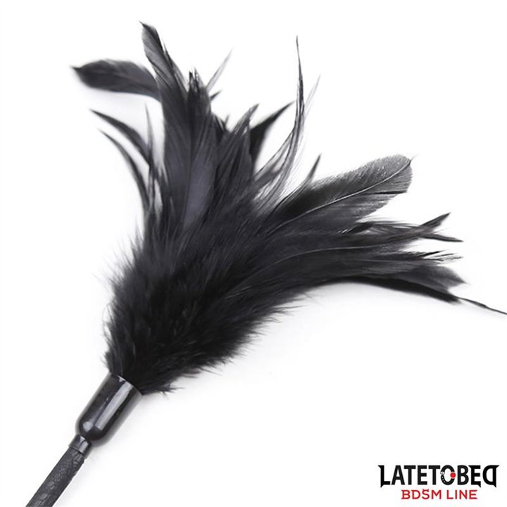 Multi Feathers Tickler and Lace Ribbon Paddle Comb - 8436615001293 - Teknashop Ltd