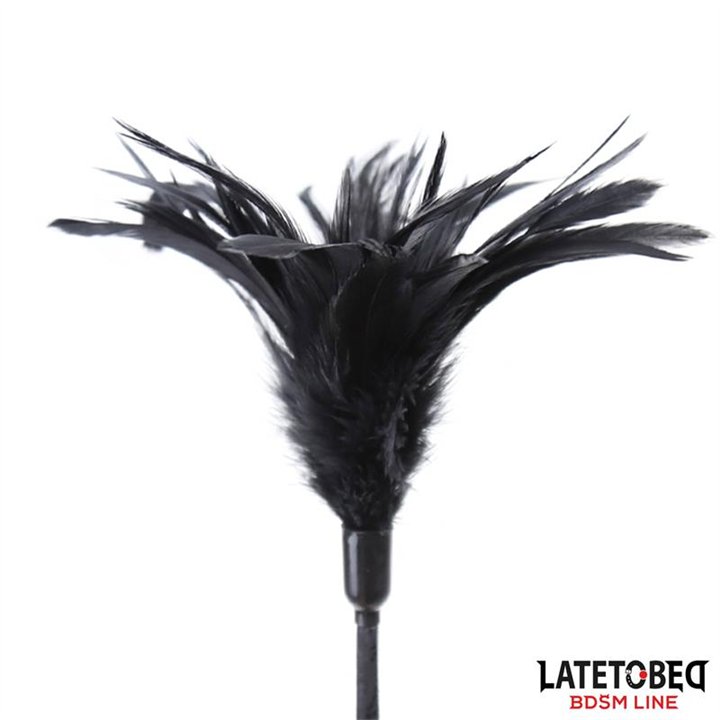 Multi Feathers Tickler and Lace Ribbon Paddle Comb - 8436615001293 - Teknashop Ltd