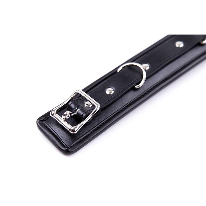 Collar with Metal Leash and Pedded Interior Black - 843658379354 - Teknashop Ltd