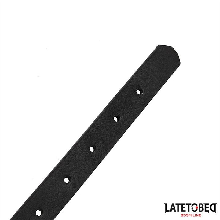 Gag with Drinker - 8436615007462 - Teknashop Ltd