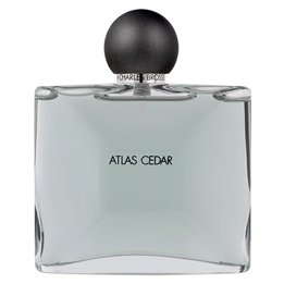 Jean Charles Brosseau, Atlas Cedar Collection Homme, Eau De Toilette, For Men, 100 ml *Tester - Teknashop Ltd