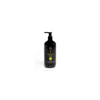 Dermo Afro Champu Mango-Argan 500ml - unisex - Teknashop Ltd