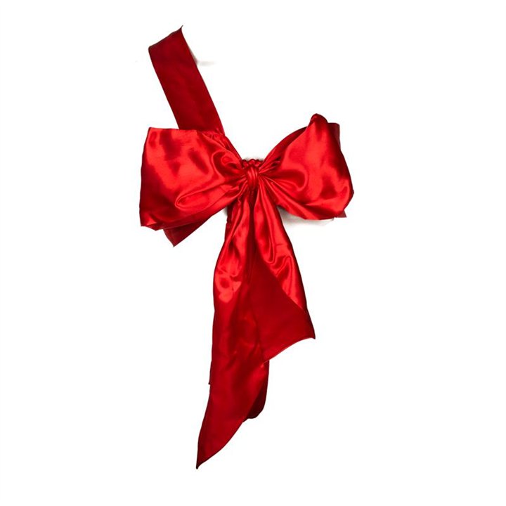 Red Sexy Costume Bow - 4029811292554 - Teknashop Ltd