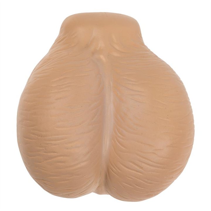 Squeeze Sexy Display 12 Pieces Assorted - 4029811448739 - Teknashop Ltd