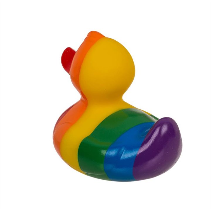 Rainbow Squeaking Duck - 4029811454938 - Teknashop Ltd