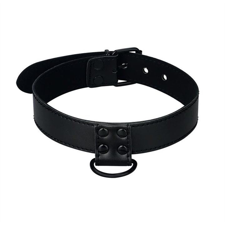Collar with Leash Black Matt - LO-LV761003 - Teknashop Ltd