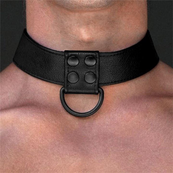 Collar with Leash Black Matt - LO-LV761003 - Teknashop Ltd