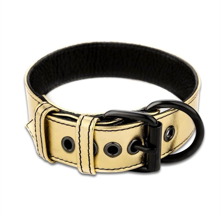 Collar with Leash Bondage Gold - LO-LV761004 - Teknashop Ltd