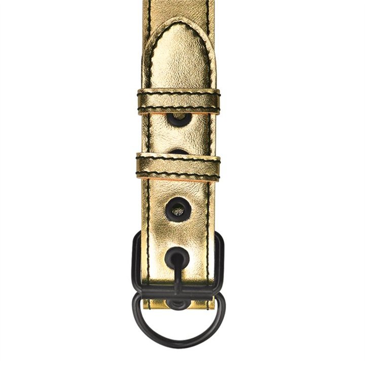 Collar with Leash Bondage Gold - LO-LV761004 - Teknashop Ltd