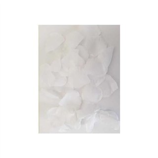100 Petals White - 8412345045677 - Teknashop Ltd