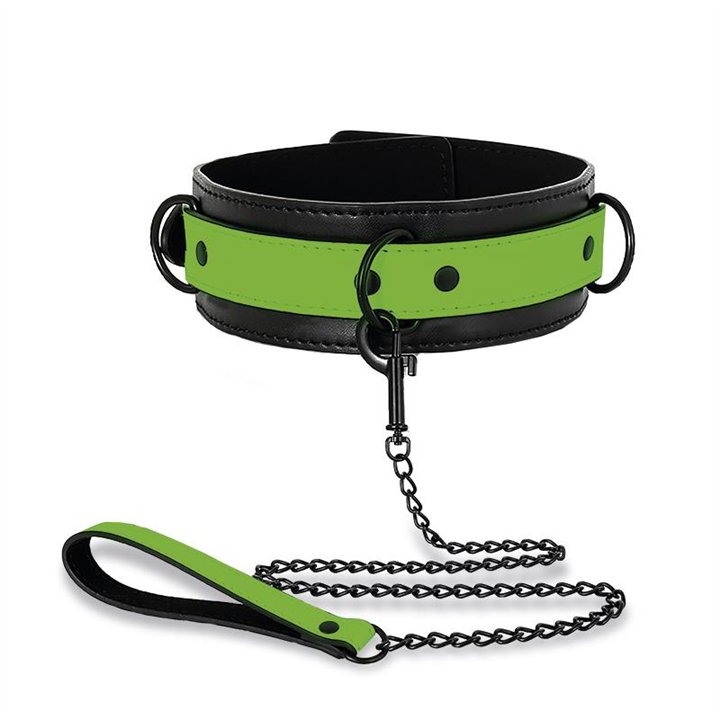 Glow in the Dark Collar with Leash - SL-153 - Teknashop Ltd