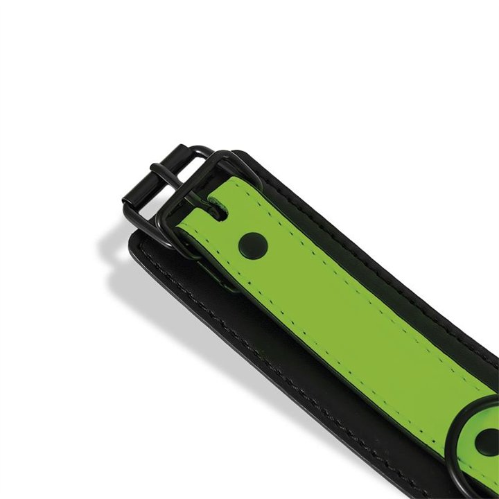 Glow in the Dark Collar with Leash - SL-153 - Teknashop Ltd
