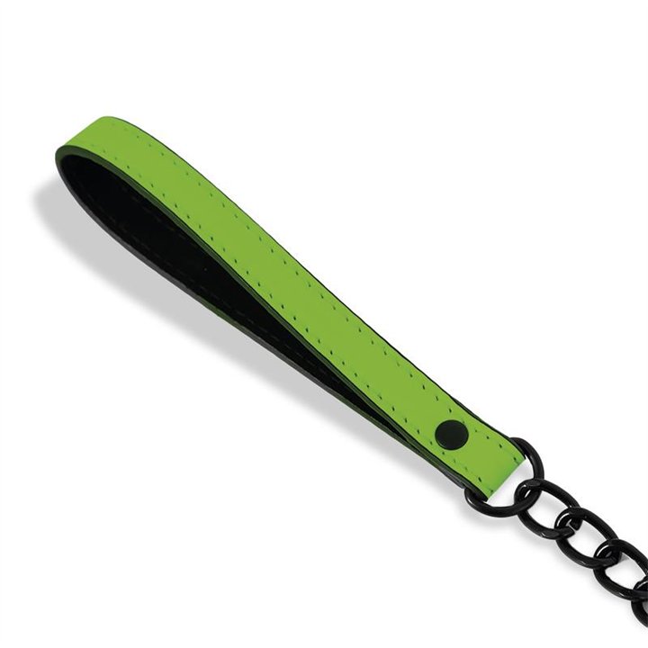 Glow in the Dark Collar with Leash - SL-153 - Teknashop Ltd