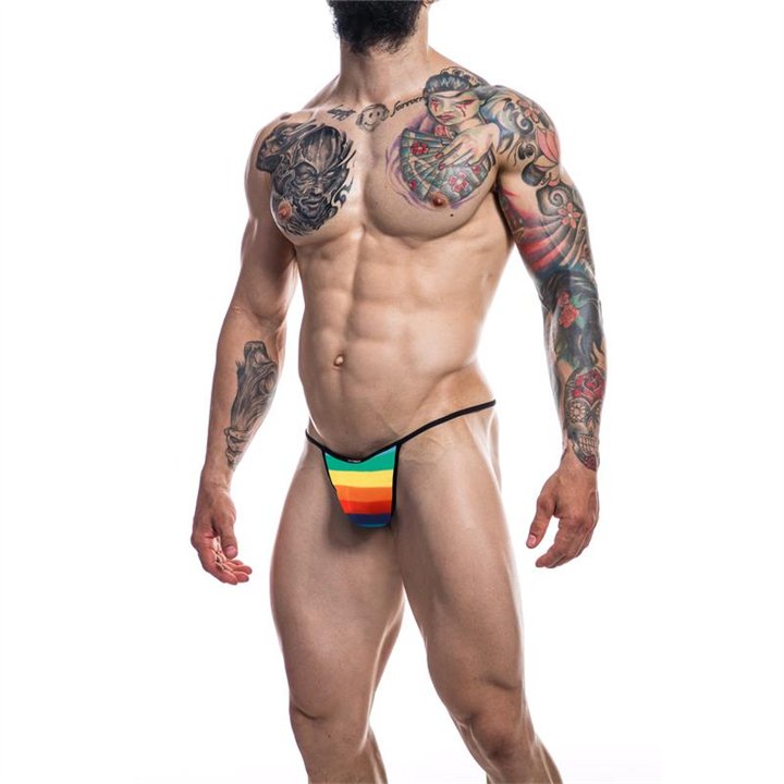 C4M12 Briefkini Rainbow - 3760294776025 - Teknashop Ltd