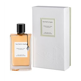 Van Cleef & Arpels, Collection Extraordinaire - Precious Oud, Eau De Parfum, For Women, 75 ml - Teknashop Ltd