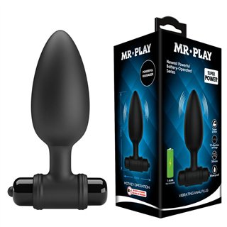 Vibrating Anal Plug - BI-040107-MR - Teknashop Ltd