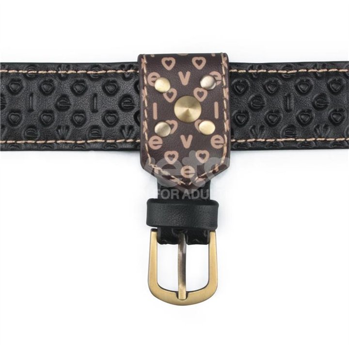 Rebellion Reign Strap-On Harness - LO-LV761211 - Teknashop Ltd