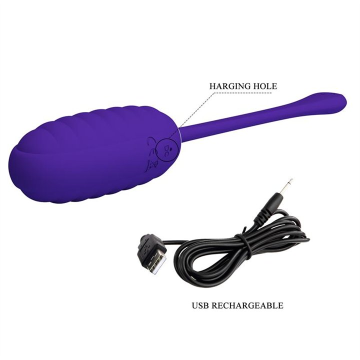 Kirk Vibrating Egg Violet - BI-014654-3 - Teknashop Ltd