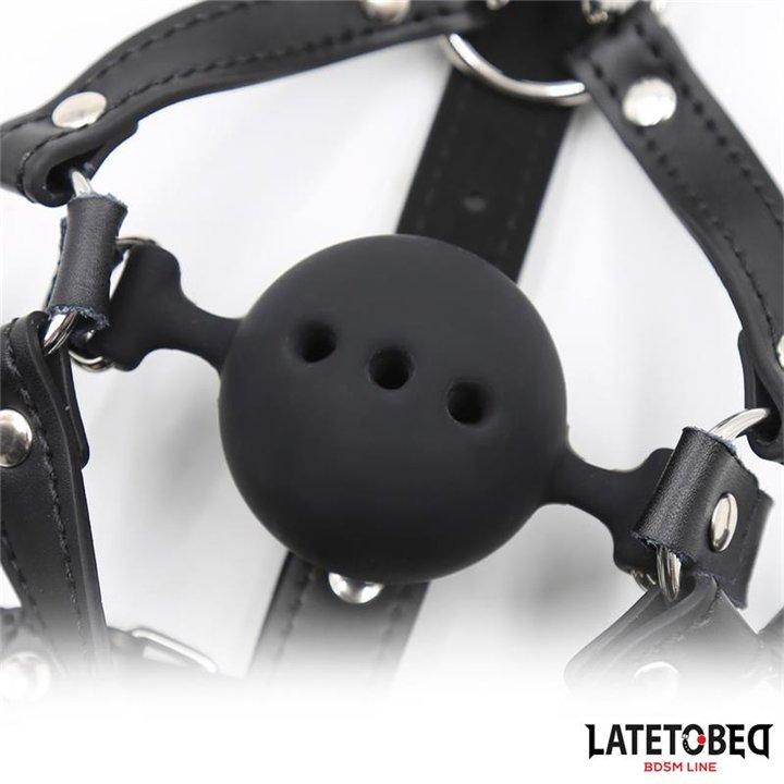 Head Harness with Ball Gag and Nose Hook - 8436615007820 - Teknashop Ltd