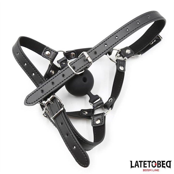 Head Harness with Ball Gag and Nose Hook - 8436615007820 - Teknashop Ltd