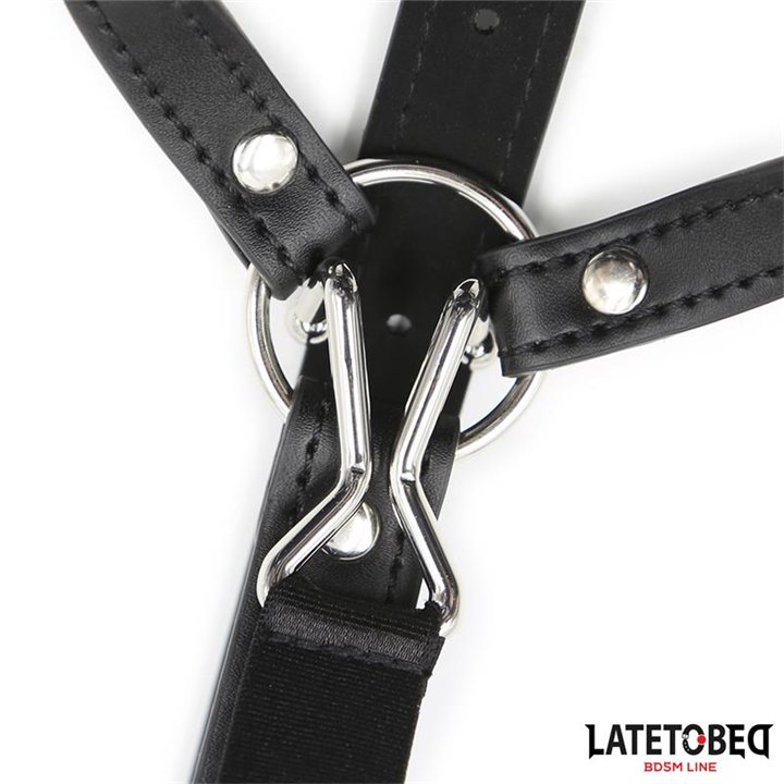 Head Harness with Ball Gag and Nose Hook - 8436615007820 - Teknashop Ltd
