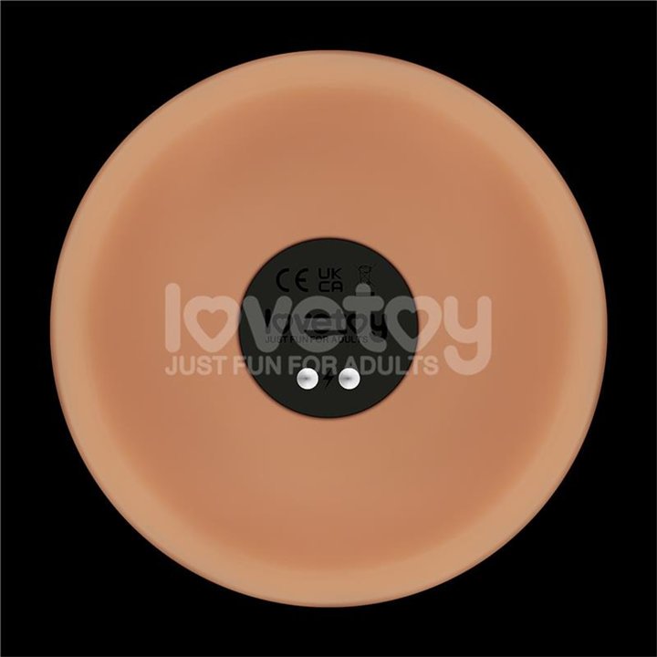 Power Basics Dildo with Vibration 10 - LO-LV111206 - Teknashop Ltd