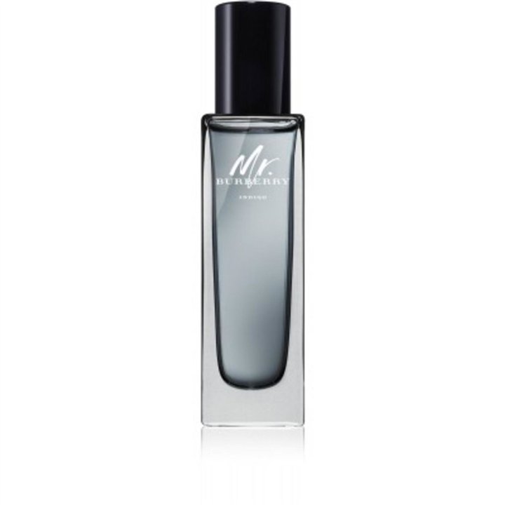 Burberry, Mr Burberry Indigo, Eau De Toilette, For Men, 30 ml - Teknashop Ltd
