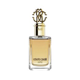 Roberto Cavalli, Uomo, Eau De Toilette, For Men, 100 ml - Teknashop Ltd