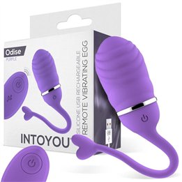 Vibrating Egg with Remote Control Odise USB Silicone Purple - IN-025 - Teknashop Ltd