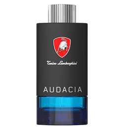 Tonino Lamborghini, Techno Audacia, Eau De Toilette, For Men, 100 ml - Teknashop Ltd