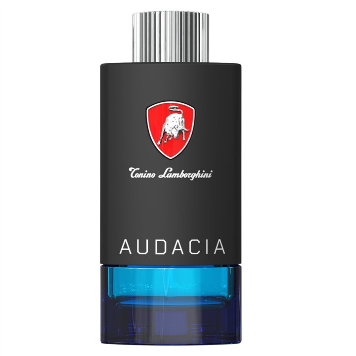 Tonino Lamborghini, Techno Audacia, Eau De Toilette, For Men, 100 ml - Teknashop Ltd