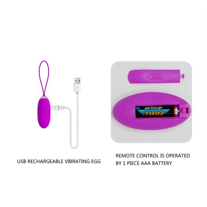 Vibrating Egg Joanna USB Purple - BI-014362W-5 - Teknashop Ltd
