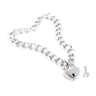 Collar with Lock Metal Size M 44 cm - 843658379348 - Teknashop Ltd