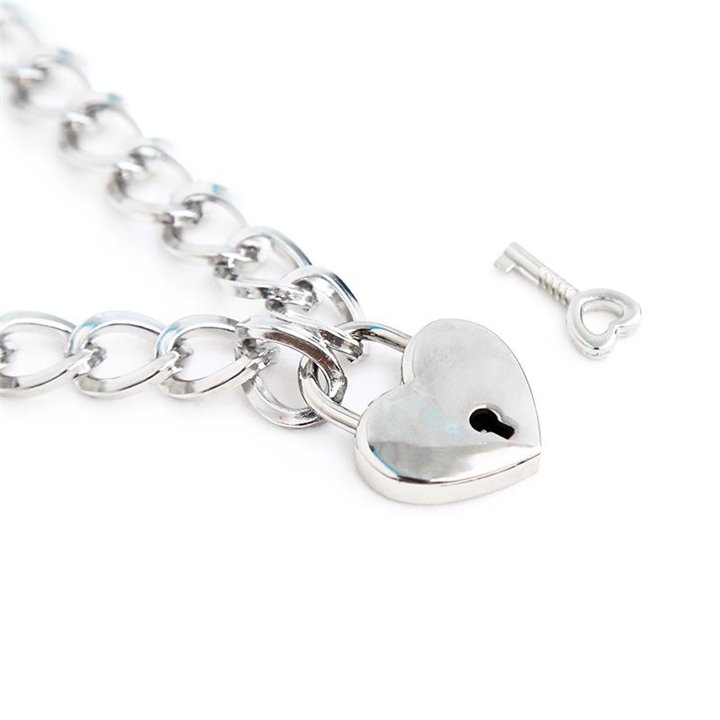 Collar with Lock Metal Size M 44 cm - 843658379348 - Teknashop Ltd