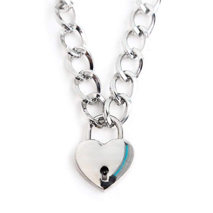 Collar with Lock Metal Size M 44 cm - 843658379348 - Teknashop Ltd