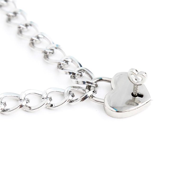 Collar with Lock Metal Size M 44 cm - 843658379348 - Teknashop Ltd