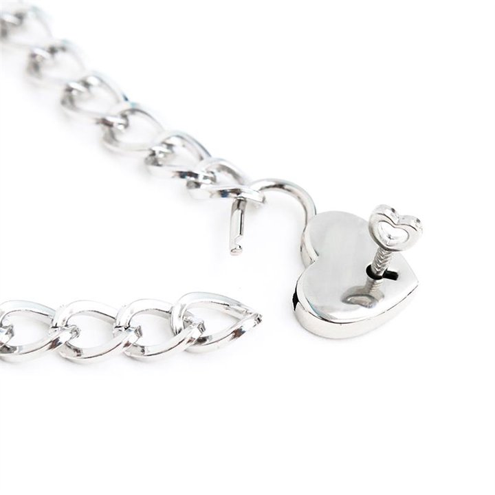 Collar with Lock Metal Size M 44 cm - 843658379348 - Teknashop Ltd