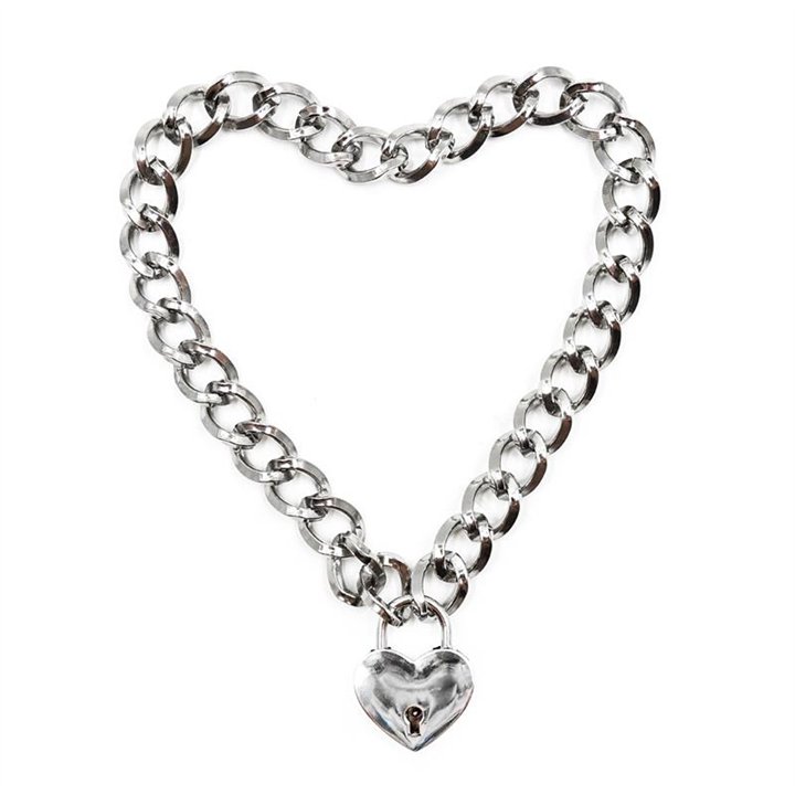 Collar with Lock Metal Size M 44 cm - 843658379348 - Teknashop Ltd