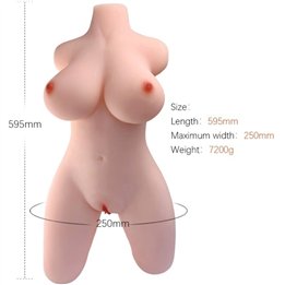 ARMONY - REALISTIC FEMALE TORSO MODEL 2 - D-238258 - Teknashop Ltd