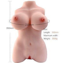 ARMONY - REALISTIC FEMALE TORSO MODEL 3 - D-238259 - Teknashop Ltd