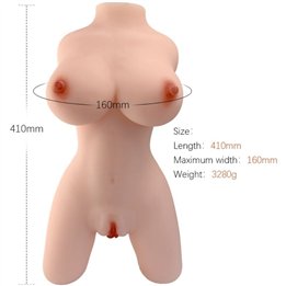 ARMONY - REALISTIC FEMALE TORSO MODEL 4 - D-238260 - Teknashop Ltd