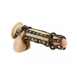 Penis and Ball Harness - R7463.5 - Teknashop Ltd